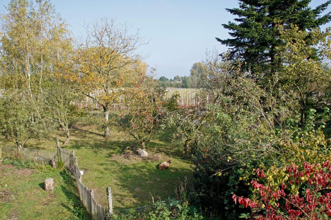 Hof Van Loverrijk Bed & Breakfast Lier Exterior foto